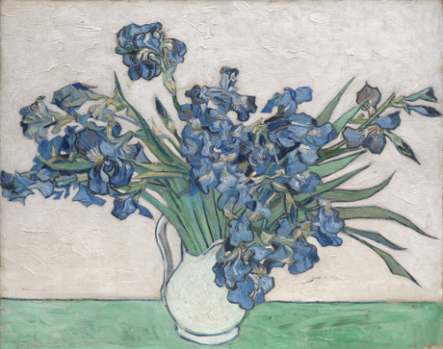 Vincent van Gogh Irises